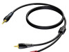 KABAL AUX PROCAB CLA711 1.5m 2RCA - 3,5mm Jack
