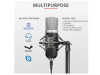 GXT252 Emita USB Streaming