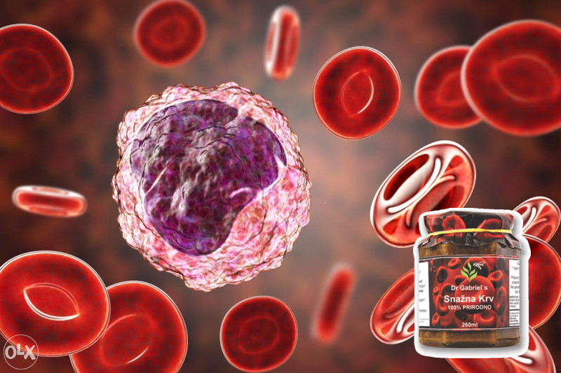 Preparat Za Malokrvnost Anemiju - Snažna Krv