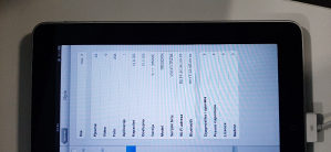 Apple Ipad 16GB