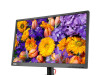 Lenovo ThinkVision E24