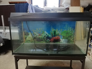 Akvarijum za ribe