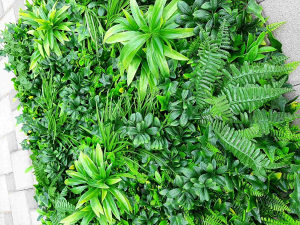 Zeleni zid - green wall