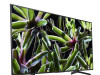 TV Sony 49