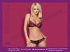 Obsessive 842-SET-5 set S/M | sexyshop.ba