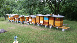 pčelarska oprema