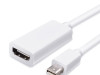 LENTION Mini DisplayPort to HDMI Adapter