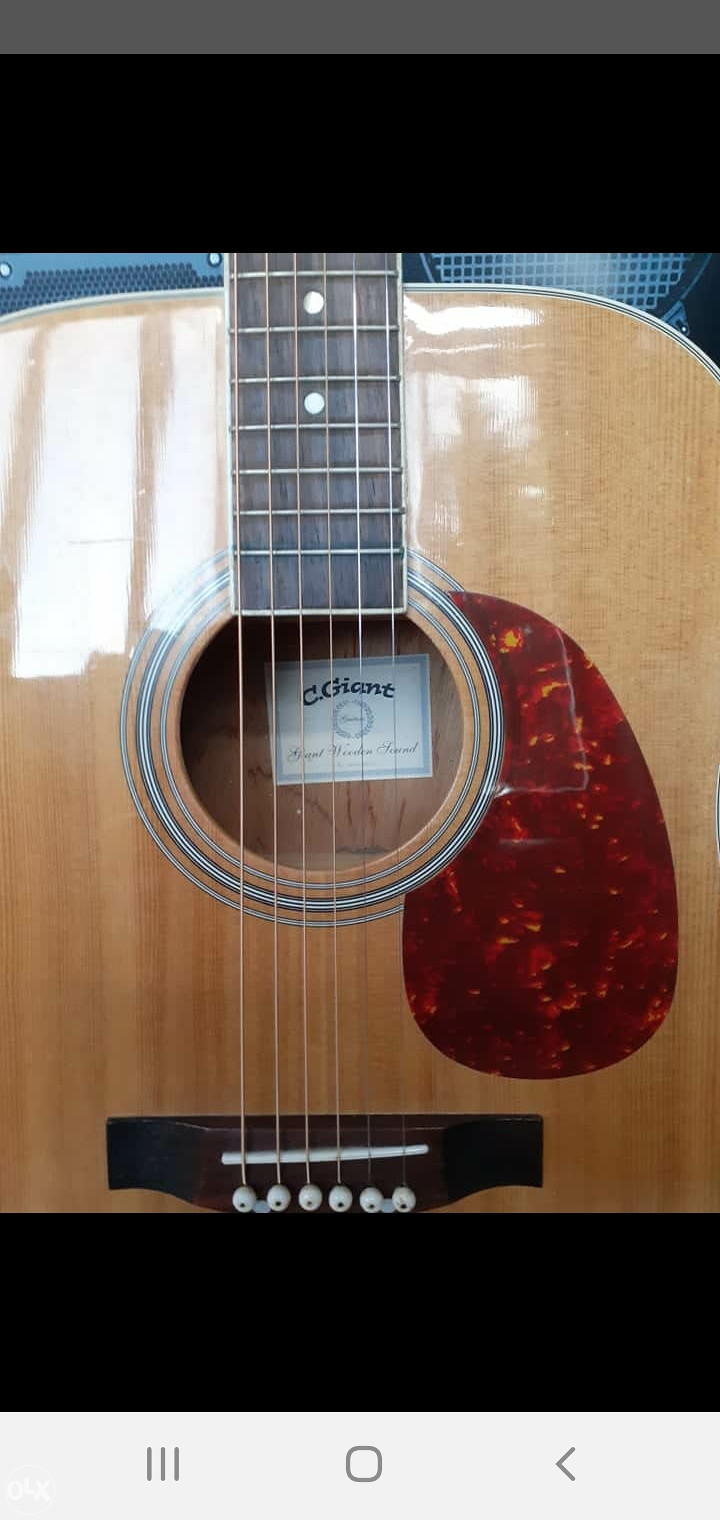 Gitara C.Giant nt