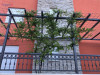 Apartman sa garažom/novogradnja/Krvavica