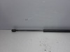 7769737UME AMORTIZER GEPEKA FIAT BRAVO/BRAVA > 95-0
