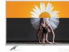 TESLA TV LED 32'' 32T303SH HD (81cm) HDMI