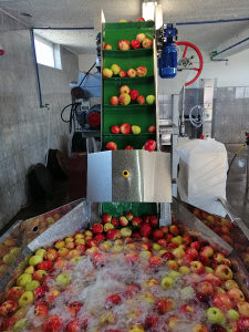 Prerada voća u sokove