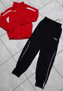 Puma trenerka