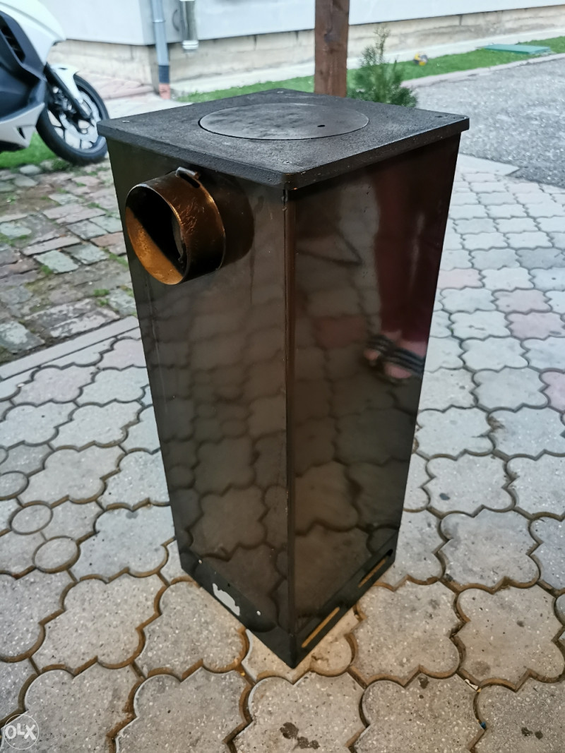 Alfa plam kraljica