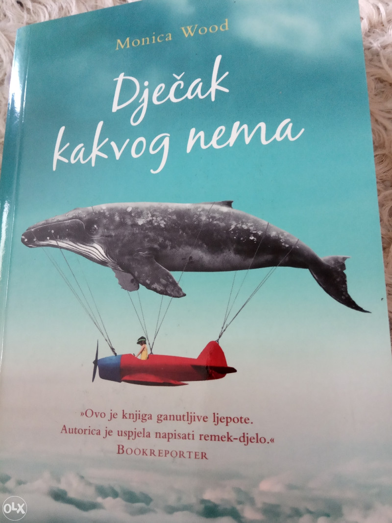 DJEČAK KAKVOG NEMA Monica Wood