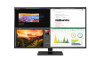 Monitor 43