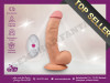 Vibrator