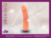Vibrator