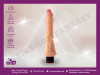 Vibrator