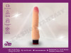 Vibrator