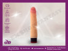 Vibrator