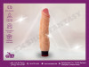 Vibrator