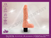 Vibrator