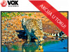 VOX TELEVIZOR 43DSA314B, 43″ LED TV, FULL HD
