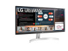 Monitor 29