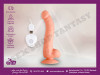 Vibrator