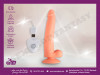 Vibrator