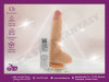 Vibrator