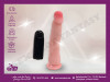 Vibrator