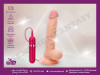 Vibrator