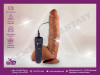 Vibrator