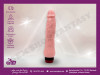 Vibrator