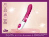 Vibrator
