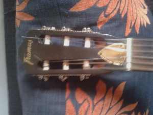 Framus gitara 1963