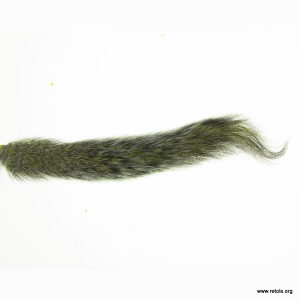 4726/9 Rep vjeverice - maslinasti [00050]