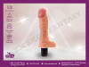 Vibrator