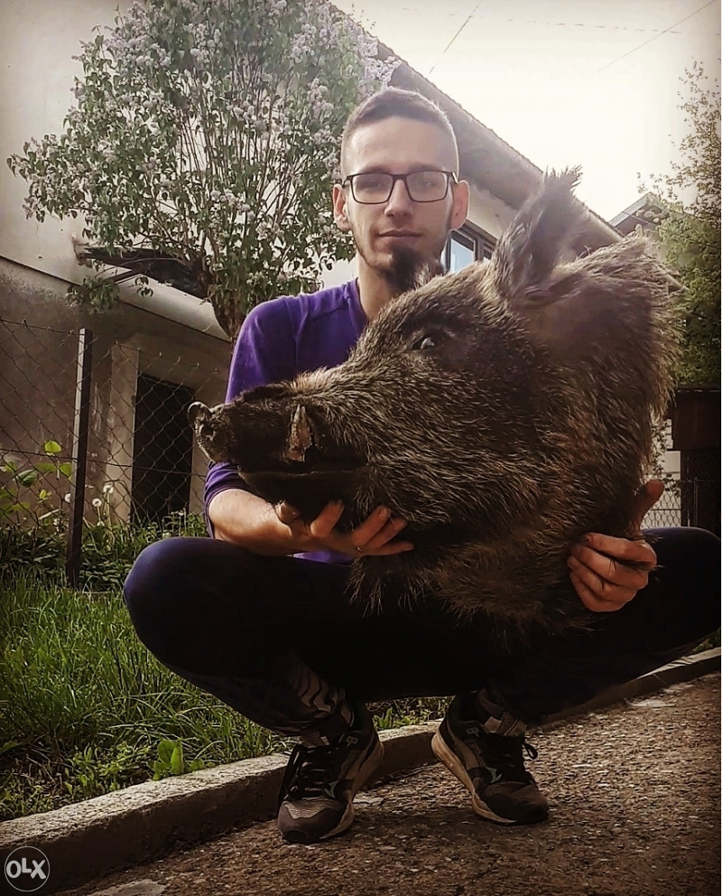 Preparirane zivotinje