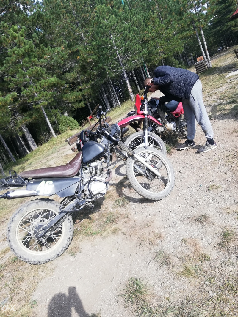 Cross kroserica