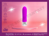 Mini Vibrator