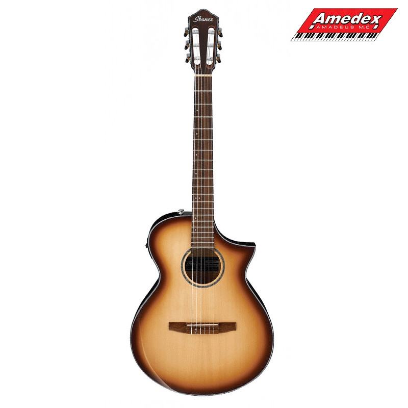 GITARA EL.-KL. IBANEZ AEWC300N-NNB