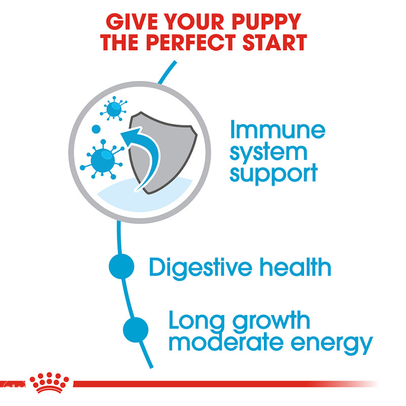 Premium hrana za pse - Maxi Puppy 4kg
