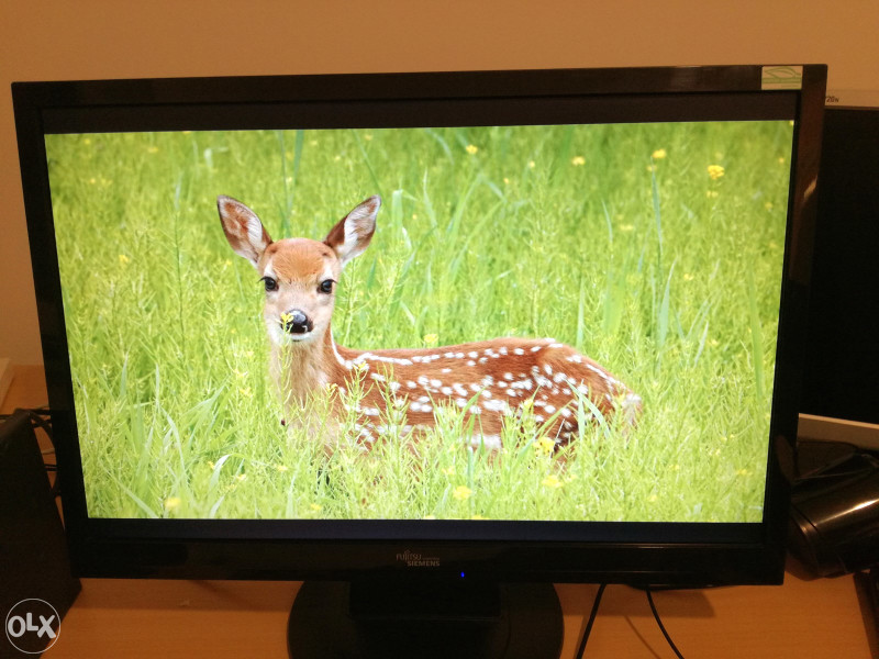 LCD Monitor 22" Fujitsu Siemens D22W-1