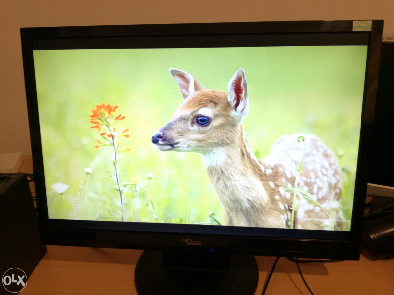 LCD Monitor 22" Fujitsu Siemens D22W-1