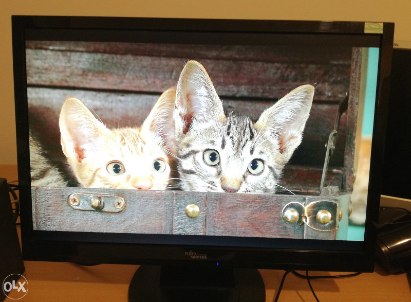 LCD Monitor 22" Fujitsu Siemens D22W-1