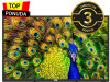 VOX TELEVIZOR 43ADS314M, 43
