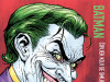Batman 14 / FIBRA